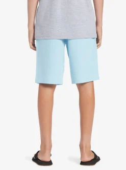 Best Quiksilver Boy'S 8-16 Ocean Elastic 18