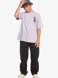 Cheap Quiksilver Boy'S 8-16 Radical Times T-Shirt Purple Rose