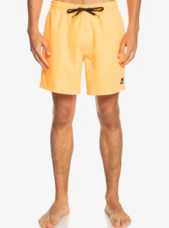 Best Quiksilver Everyday 17