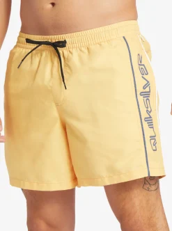 Shop Quiksilver Everyday Vert 16
