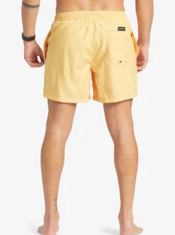 Shop Quiksilver Everyday Vert 16