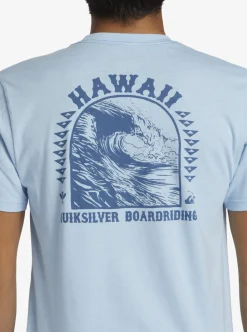Online Quiksilver Hi Natural Resources T-Shirt Clear Sky