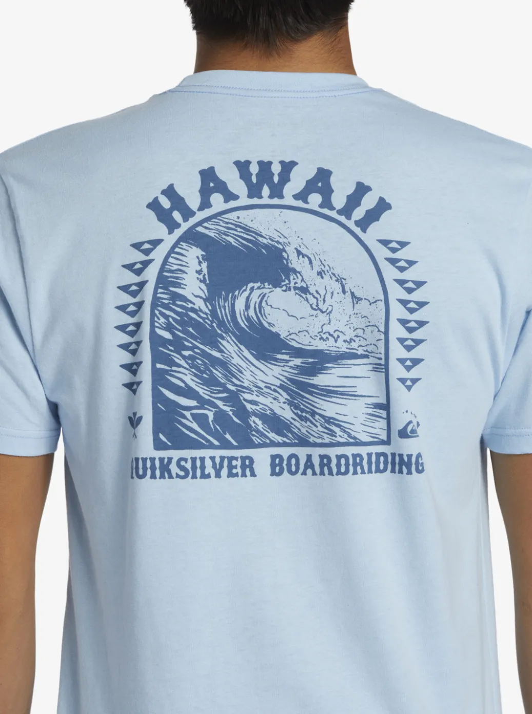 Online Quiksilver Hi Natural Resources T-Shirt Clear Sky