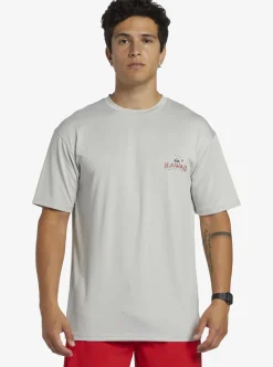 Shop Quiksilver Hi Royalty Surf Short Sleeve Upf 50 Surf T-Shirt Grey Violet