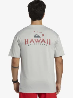 Shop Quiksilver Hi Royalty Surf Short Sleeve Upf 50 Surf T-Shirt Grey Violet