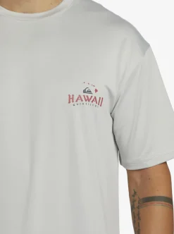 Shop Quiksilver Hi Royalty Surf Short Sleeve Upf 50 Surf T-Shirt Grey Violet