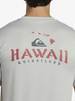 Shop Quiksilver Hi Royalty Surf Short Sleeve Upf 50 Surf T-Shirt Grey Violet