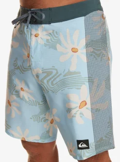 Cheap Quiksilver Highline Arch 19