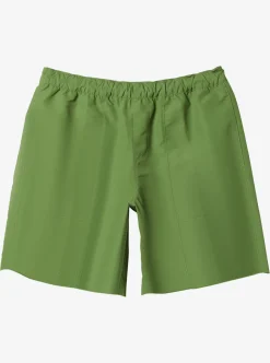 Cheap Quiksilver Made Better 18.5" Amphibian Boardshorts Dill