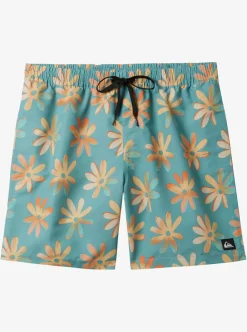 Cheap Quiksilver Re-Mix 17" Volleys Cameo Blue