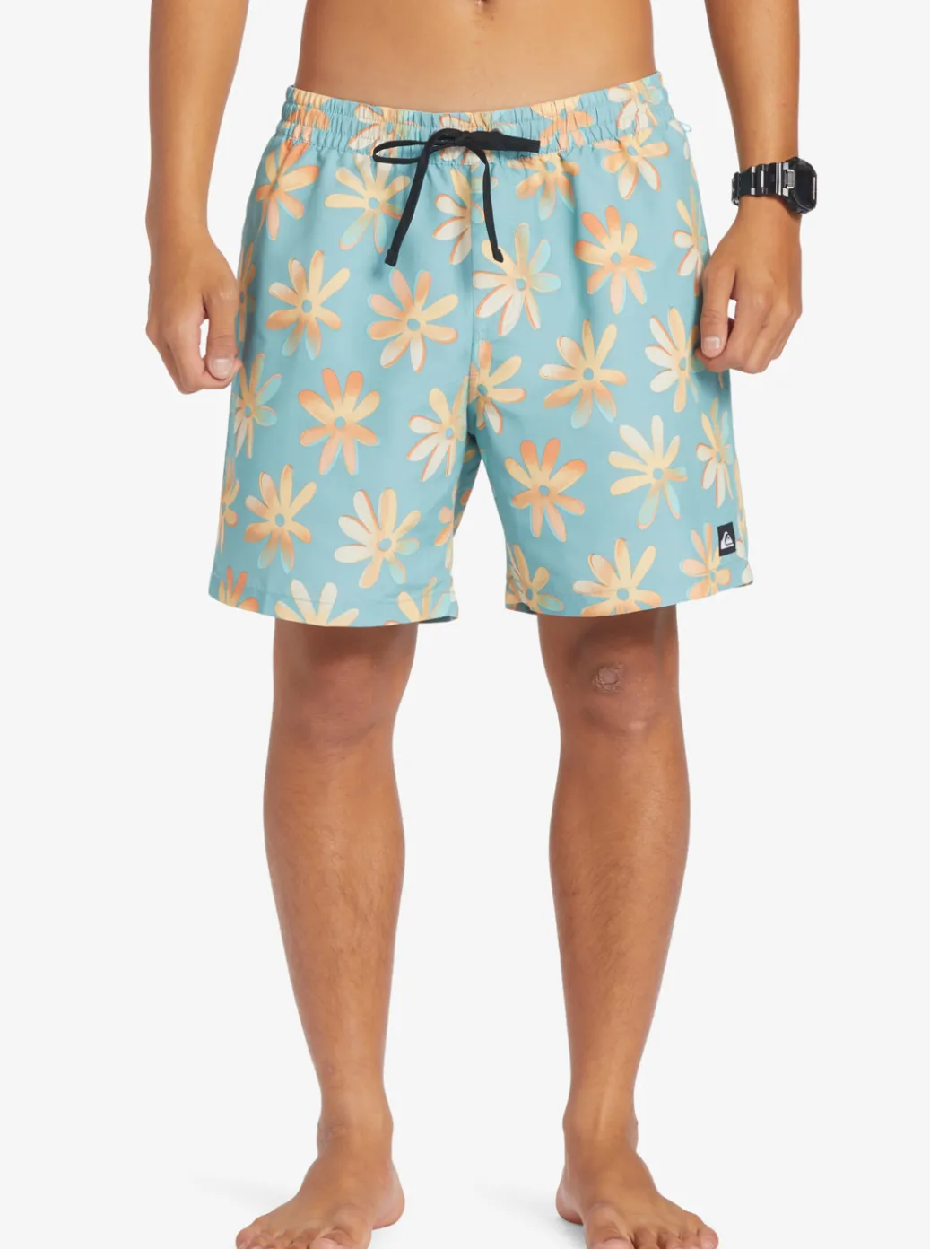 Cheap Quiksilver Re-Mix 17" Volleys Cameo Blue