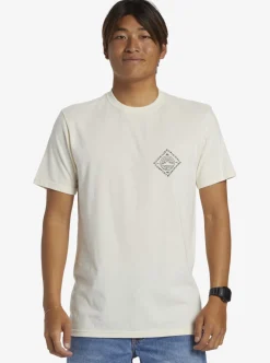 New Quiksilver Scenic View T-Shirt Birch