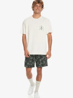 Best Sale Quiksilver Silver Lining T-Shirt Birch