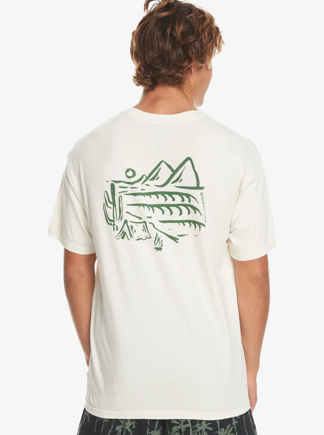 Best Sale Quiksilver Silver Lining T-Shirt Birch