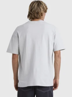 Online Quiksilver Tridagger T-Shirt Gray Violet