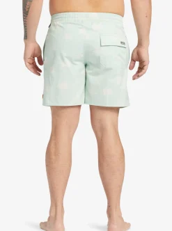 Cheap Quiksilver Waterman Cliffside 17